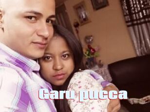 Garu_pucca