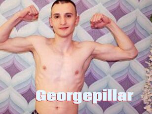 Georgepillar