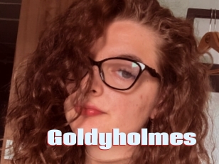 Goldyholmes