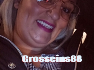 Grosseins88