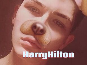 HarryHilton