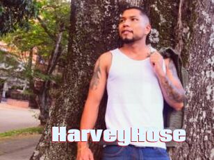HarveyRose