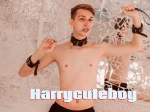 Harrycuteboy
