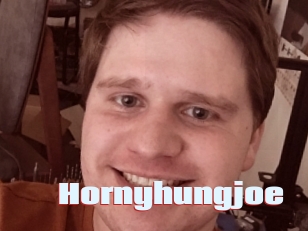 Hornyhungjoe