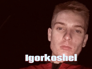 Igorkoshel