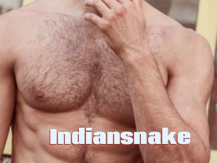 Indiansnake