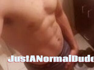 JustANormalDude