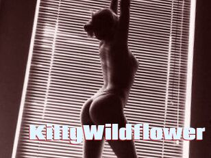 KittyWildflower