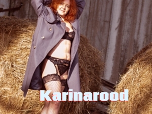 Karinarood