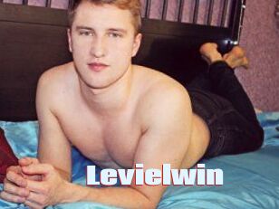Levielwin