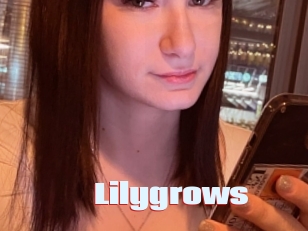 Lilygrows