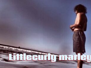 Littlecurly_marley