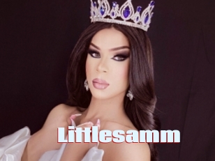 Littlesamm