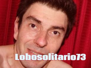 Lobosolitario73