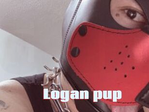 Logan_pup