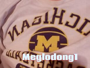 Meglodong1