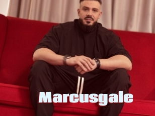 Marcusgale