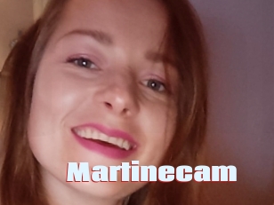 Martinecam