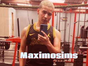 Maximosims