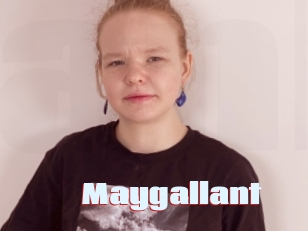 Maygallant