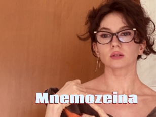 mnemozeina Anal Open