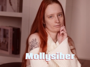 Mollysiber