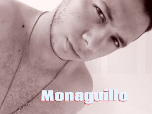 Monaguillo
