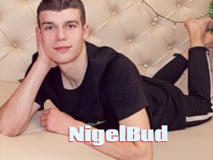 NigelBud
