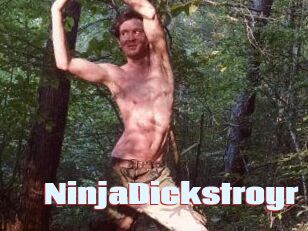 NinjaDickstroyr