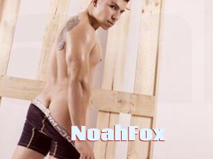 NoahFox