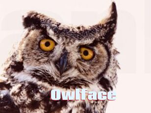 Owlface