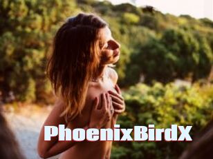 PhoenixBirdX