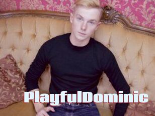 Playful_Dominic