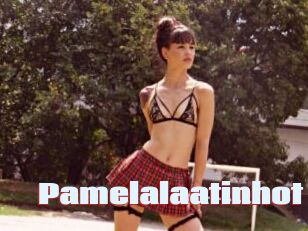 Pamelalaatinhot