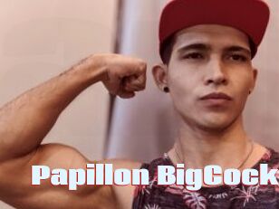 Papillon_BigCock
