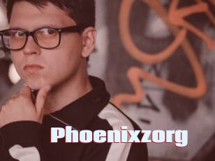 Phoenixzorg