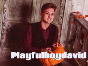 Playfulboydavid