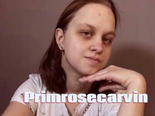 Primrosecarvin