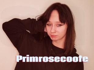 Primrosecoote