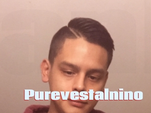 Purevestalnino