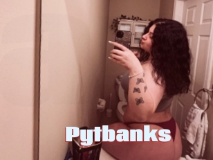 Pytbanks