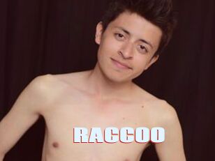 RACCOO