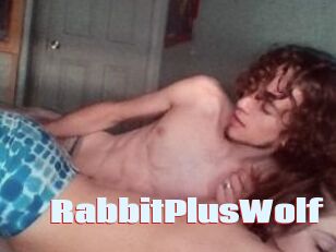 RabbitPlusWolf