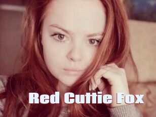 Red_Cuttie_Fox