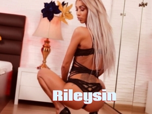 rileysin Anal Open