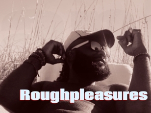 Roughpleasures