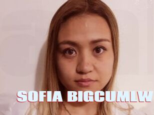 SOFIA_BIGCUMLW