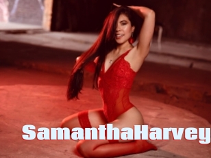 SamanthaHarvey Anal Open