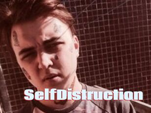 SelfDistruction