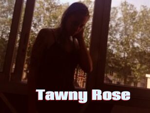 Tawny_Rose
